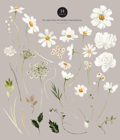 White Flower Wedding Invitation, Daisy Wedding Theme, Daisy Clipart, White Flower Wedding, Watercolor Daisy, Invitation Clipart, Flower Wedding Invitation, Flower Watercolor, Watercolor Heart