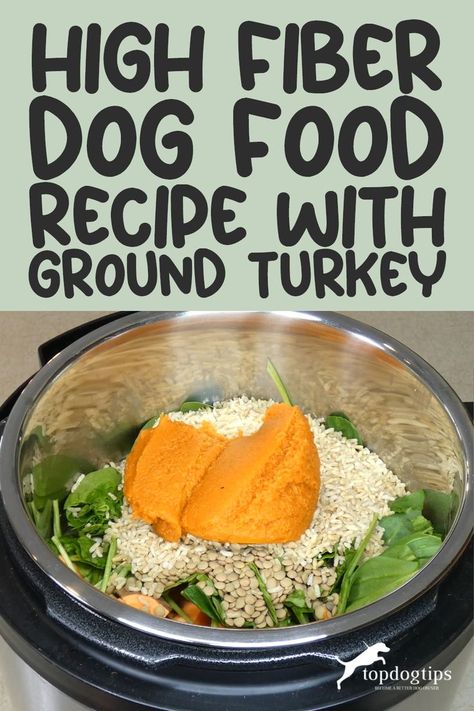 High Fiber Dog Food Recipe with Ground Turkey Fiber Food For Dogs, Fiber Treats For Dogs, Homemade Dog Food For Digestive Problems, Dog Food In Crockpot, Turkey And Pumpkin Dog Food, Healthy Dog Meals Easy Recipes, Instant Pot Dog Food Recipes Turkey, Ground Turkey Dog Food Recipes Crockpot, High Fiber Dog Food Recipes