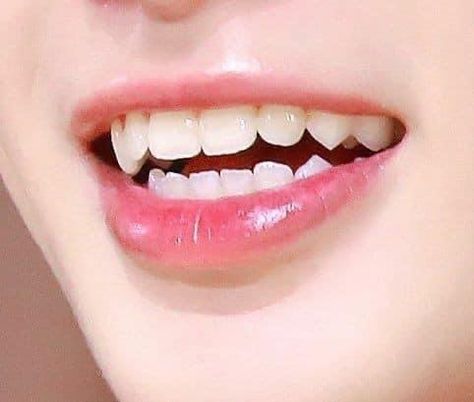 Teeth Aesthetic, Pretty Teeth, Fantasy Story Ideas, Cute Tooth, Straight Teeth, Perfect Teeth, Vampire Teeth, Beautiful Lips, White Teeth