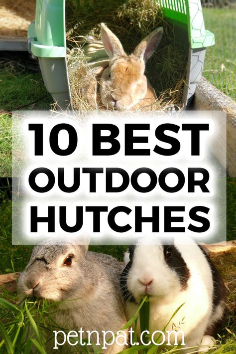 10 Best Outdoor Rabbit Hutches To Keep Your Bunny Safe #bunny #rabbit #rabbithutch #hutch #animals #pets Outdoor Bunny Hutch, Bunny Hutches, Large Hutch, Rabbit Cages Outdoor, Diy Hutch, Diy Bunny Cage, Rabbit Hutch And Run, Diy Rabbit Cage, Large Rabbit Hutch