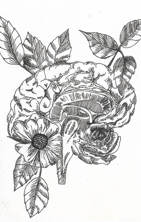 #anatomy #brain #illustration  #bioart #floral #flowers Brain Drawing Flowers, Floral Brain Art, Brain Flowers Illustration, Brain And Flowers Art, Scatter Brain Tattoo, Floral Brain Drawing, Brain Growth Art, Brain Anatomy Tattoo, Brain Drawing With Flowers