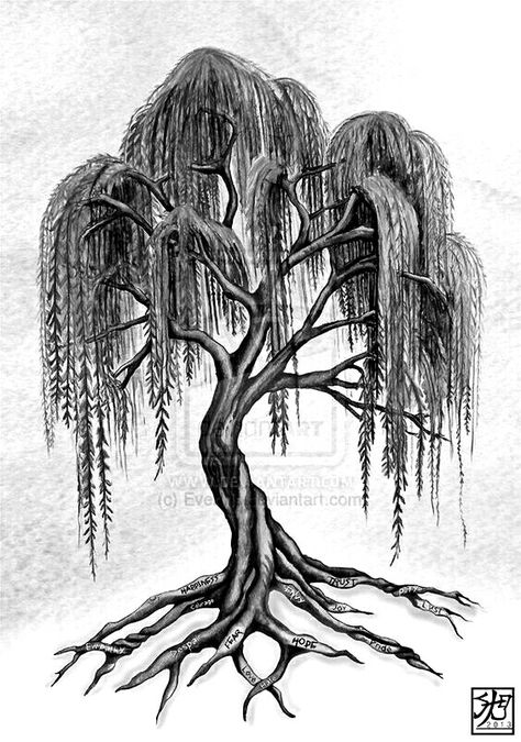 ◇ weeping willow | hip tattoo Weeping Willow Tattoo, Willow Tree Tattoo, Willow Tree Art, Willow Tree Tattoos, Tattoo Tree, Weeping Willow Tree, Tree Tattoo Designs, Weeping Willow, Trendy Tree