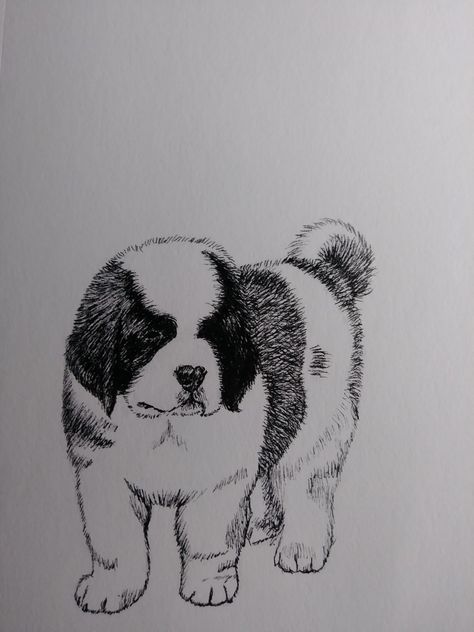 St Bernard Puppy drawing in micron pen! Saint Bernard Sketch, How To Draw A Saint Bernard, St Bernard Tattoo, St Bernard Drawing, Saint Bernard Drawing, Easy Pictures, St Bernards, St Bernard Puppy, Drawing Face Expressions