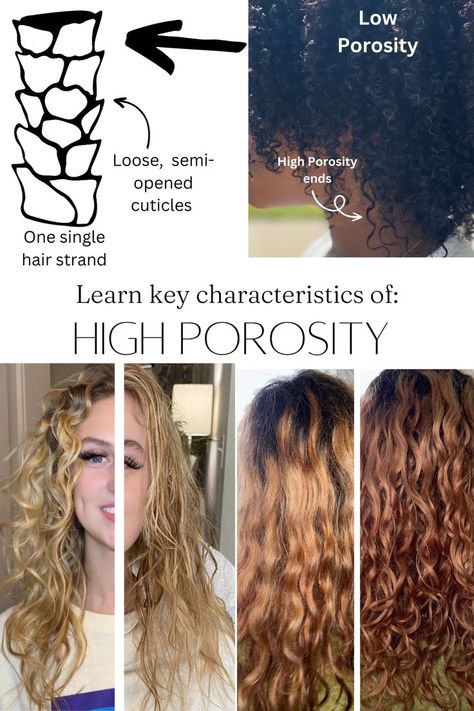 Learn life changing characteristics about high porosity hair care, how to start a curly hair regimen and what type of products will work best for your curls Styles For Long Curly Hair, High Porosity Hair Regimen, Curly Hair Regimen, Healthy Curly Hair, Long Curly Hairstyles, High Porosity Hair, Frizz Free Curls, Curly Hair Problems, Natural Hair Care Tips