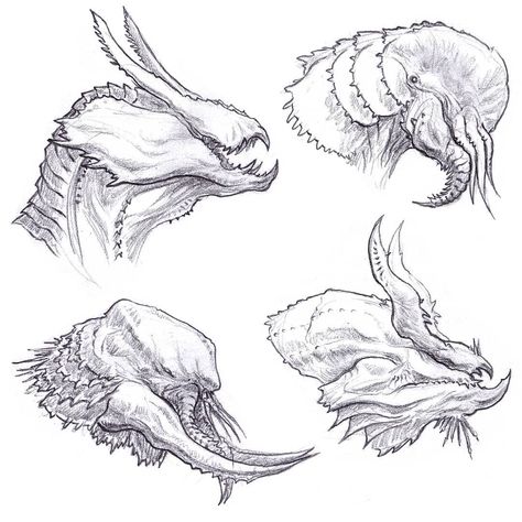 Creature Eyes Drawing, Monster Head Drawing, Creature Design Sketch, Creature Sketch, Dragon Head Drawing, Dragon Sketches, Head Sketches, Dragon Teeth, Dead Rose