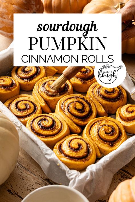 Dive into the enticing aroma of these aromatic pumpkin sourdough cinnamon rolls, boasting the perfect harmony of pumpkin's natural sweetness and the warmth of cinnamon. Discover the recipe and more sourdough holiday recipes at makeitdough.com. Cinnamon Rolls No Yeast, Rolls No Yeast, Pumpkin Sourdough, Sourdough Pumpkin, Recipe Using Sourdough Starter, Sourdough Rolls, Sourdough Cinnamon Rolls, Pumpkin Rolls Recipe, Sourdough Starter Discard Recipe