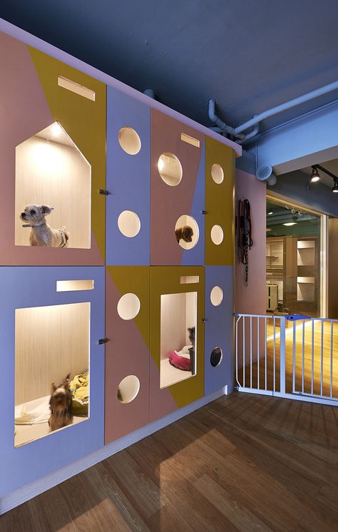 Image 2 of 10 from gallery of Petaholic Hotel / sms design. Courtesy of SMS Design Pet Hotel Design, Dog Daycare Business, Hotel Pet, Pet Store Design, Pet Store Ideas, Dog Boarding Facility, Dog Boarding Kennels, Dog Spa, Cat Hotel