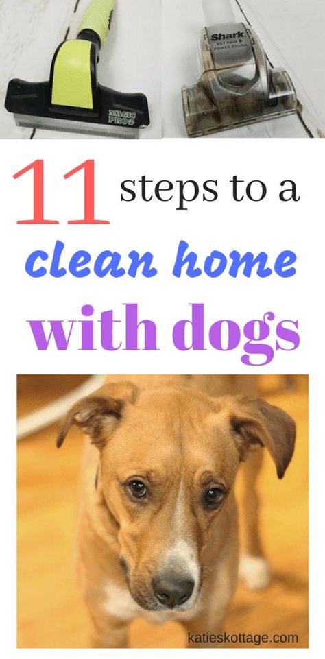 Keeping your house clean when you have dogs. 11 tips to keep the dog hair and dog smells away. #dogowner #cleaningtips Dog Hair Cleaning, Shower Cleaning Hacks, Cleaning Hacks Bedroom, Dog Mess, Cleaning Hacks Tips And Tricks, Deep Cleaning Hacks, Hair Cleaning, Mrs Hinch, Dog Smells