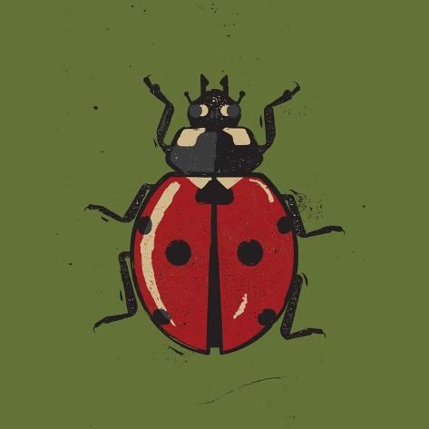 size: 16x16in Photographic Print: Ladybug by Vision Grasp Art : Globe Design, Bug Print, Ladybug Art, Bug Art, Hand Art, New Wall, Art Sketchbook, Art Art, Art Shop