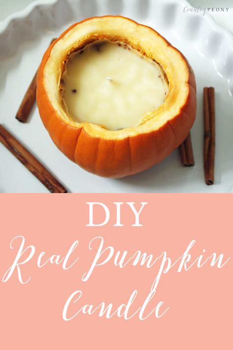 Vanilla Homemade, Diy Pumpkin Candle, Circle E Candles, Homemade Candle, Pumpkin Candle, Eating Alone, Modern Candles, Food Candles, Pumpkin Picking