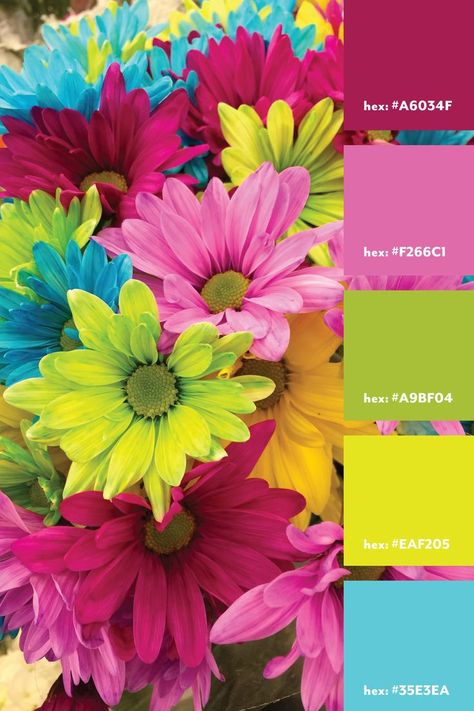 A neon color palette from an image of neon daisies Neon Color Palette, Color Mixing Chart Acrylic, Neon Colour Palette, Color Mixing Chart, Orange Color Palettes, Hex Color Palette, Color Schemes Colour Palettes, Color Palette Bright, Nature Color Palette