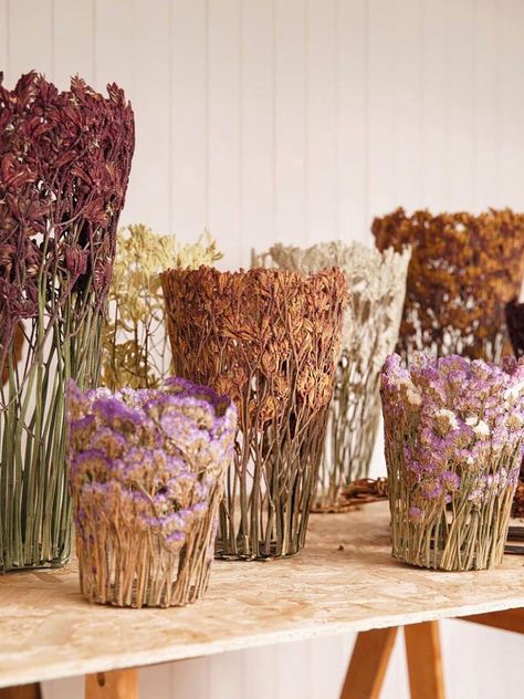 Diy Fleur, Fleurs Diy, Kangaroo Paw, Fleur Design, Colossal Art, Dried And Pressed Flowers, Flower Sculptures, Dry Plants, Hand Molding