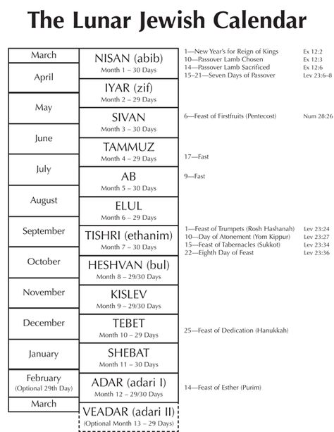 The Lunar Jewish Calendar Hebrew Months, Hebrew Language Words, Bible Timeline, Torah Study, Jewish Calendar, Revelation Bible, Learn The Bible, Personal Bible Study, Bible Study Topics