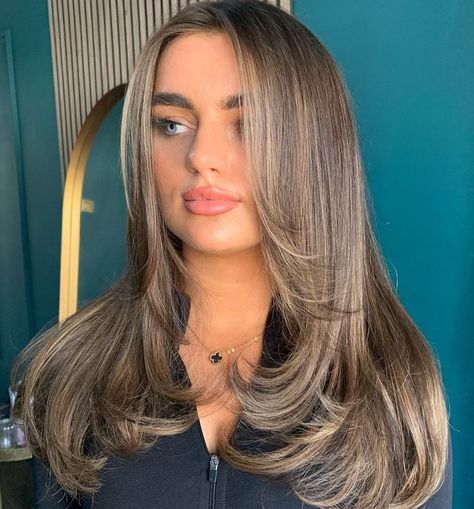 Layered Cut for Straight Bronde Hair Biscuit Brown Hair, Bronde Balayage Straight, Bronde Balayage Straight Hair, Biscuit Blonde, Fall Bronde Balayage, 60 Year Old Hairstyles, Straight Hair Highlights, Baby Highlights, Balayage Straight