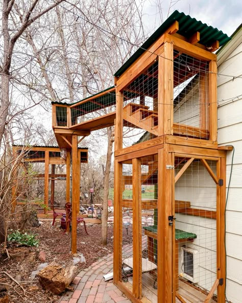 #catio #catpatio #outdoorenclosure #catios #outdoorcathouse #cathouse #cats_of_world Cozy Homestead, Cat Tunnel Outdoor, Cat Patios, Outdoor Cat Tree, Outdoor Cat Tunnel, Catio Ideas, Heated Cat House, Feral Cat Shelter, Crafts Recycled