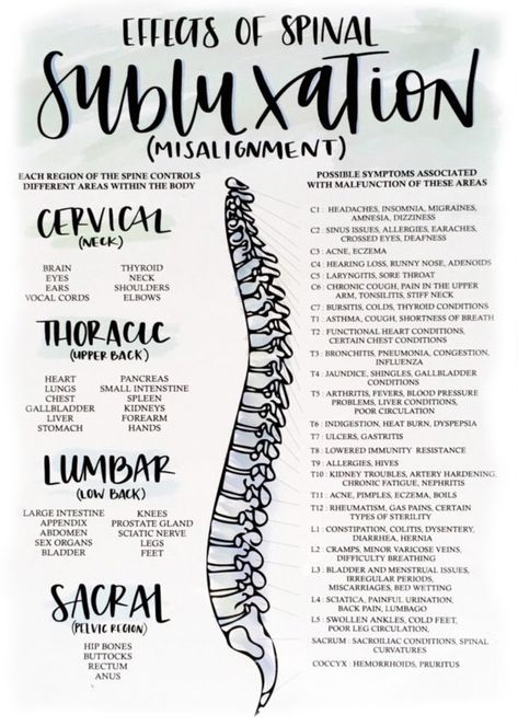 Chiropractic works to relieve pressure on your nervous system by realigning your spine. This helps address symptoms and improve your health and wellbeing. Chiropractor Adjustment, Chiropractic Assistant, Chiropractic Benefits, Medical Terminology Study, Benefits Of Chiropractic Care, Basic Anatomy And Physiology, Chronic Cough, Family Chiropractic, Spinal Injury