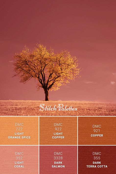 Floss color inspiration for cross stitch and embroidery projects. Thread colors used: DMC 921: Copper / DMC 922: Light Copper / DMC 722: Light Orange Spice / DMC 352: Light Coral / DMC 3328: Dark Salmon / DMC 355: Dark Terra Cotta. Palette ID: SPA0436 Deep Apricot Color, Copper Color Palette Wedding, Spice Colour Palette, Burnt Orange Pink Color Palette, Salmon Colour Palette, Rusty Red Color Palette, Chaotic Color Palette, Persimmon Color Palette, Light Orange Color Palette