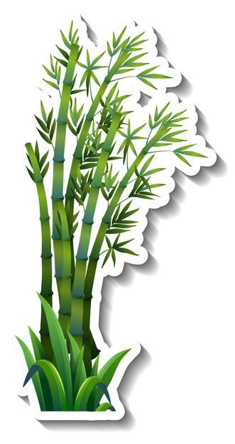 Bamboo tree sticker on white | Free Vector #Freepik #freevector #tree #wood #leaf #nature Bamboo Cake Ideas, Paper Flowers Diy Easy, Wood Leaf, Photo Cake Topper, Tree Sticker, Cartoon Trees, Idee Cricut, Panda Birthday, Creative Kids Crafts