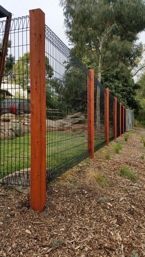 Cheap Tall Fence Ideas, Garden Gate Design Wood Fences, Budget Friendly Fence Ideas, Large Property Fence Ideas, Fences That Don't Obstruct View, Easy Fence Ideas Cheap, Diy Cheap Privacy Fence, Affordable Fence Ideas, Cheapest Fence Ideas