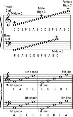 Locating the Notes on the Musical Staff - dummies Beginner Piano Lessons, Piano Lessons For Kids, Reading Sheet Music, Music Theory Lessons, She Go, Piano Music Lessons, Ukulele Music, Mezzo Soprano, Music Student