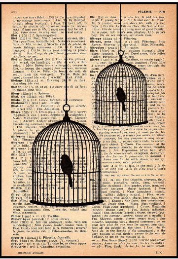 Birdcage Newspaper Painting, Old Book Art, Newspaper Art, Book Page Crafts, Collage Art Projects, Book Page Art, Poetry Art, Dictionary Art, Vintage Poster Art