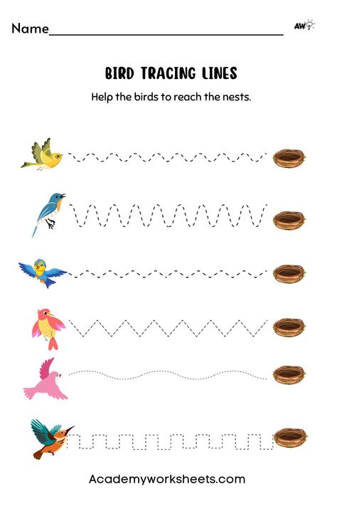 Great line tracing worksheets for your young student. Pre-k or Kindergarten. Bring the birds to their nest. We also have puppies on the website Academy Worksheets. Bird Worksheets Preschool, Birds Worksheets Kindergarten, Birds Activities For Kids, Bird Worksheet, Birds Activities, Cursive Small Letters, Fun Experiments For Kids, Line Tracing Worksheets, Fun Experiments