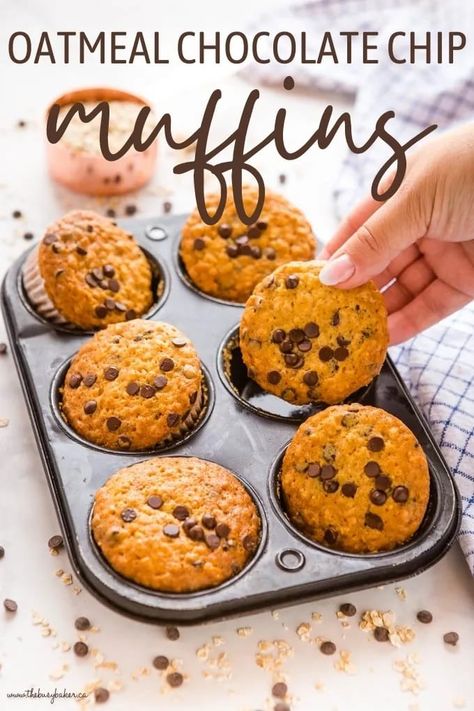 These Oatmeal Muffins with Chocolate Chips are the perfect sweet snack or breakfast made with whole grain oats and delicious chocolate - moist and tender! Recipe from thebusybaker.ca! #oatmealmuffins #chocolatechipoatmeal #breakfast #muffins #snack #baking Gluten Free Oatmeal Chocolate Chip Muffins, Oatmeal Muffin, Muffins With Chocolate Chips, Oatmeal Chocolate Chip Muffins, Muffins With Chocolate, Arbonne Recipes, Easy Oatmeal, Scrumptious Food, Homemade Muffins