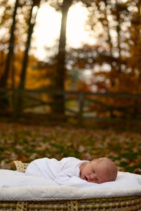 Fall Newborn Aesthetic, Simple Newborn Photos Outdoors, Newborn Photos Outside Fall, Newborn Fall Photoshoot At Home, Fall Outdoor Newborn Pictures, Newborn Autumn Photography, Newborn Outdoor Photoshoot Fall, Newborn Family Photos Outdoor Fall, Fall Newborn Family Photos