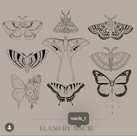 Giant Moth Tattoo, Patchwork Moth Tattoo, Moth Tattoos Simple, Moth And Butterfly Matching Tattoos, Lunar Moth Tattoo Design Simple, Moth Tattoo Women, Fine Line Moth Tattoo, Moth Outline Tattoo, Moth Tattoo Outline