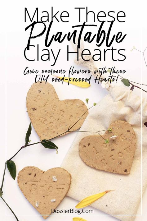 DIY Seed-Growing Clay Hearts for giving flowers | Dossier Blog #valentines #seeds Seed Paper Hearts, Seed Balls Diy, Seed Paper Diy, Seed Craft, Seed Growing, Seed Tape, Clay Hearts, Flower Seed Paper, Seed Balls