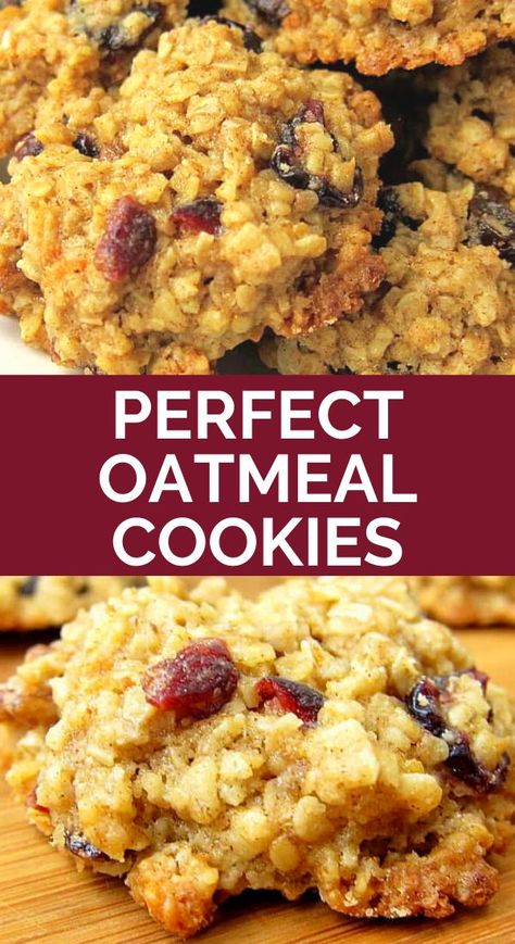 Craisins Recipes, Oatmeal Craisin Cookies, Craisin Cookies, Dried Cranberries Recipes, Perfect Oatmeal, The Best Oatmeal, Oatmeal Raisin Cookie, Best Oatmeal Cookies, Oatmeal Cookies Easy