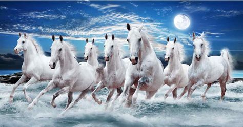 7 Running Horses Painting Vastu: Direction, Importance and Significance Running Horse Wallpaper For Phone, 7 Horses Running Painting Vastu Wallpaper, Seven Horses Painting, 7 Horses, Running Images, Horses Painting, Horse Canvas Painting, Horses Running, Beautiful Horse Pictures