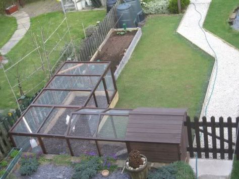 L-shaped Chicken Run to fit in the corner of the garden. Chicken Run Extension, Urban Chicken Farming, Chicken Coop Garden, Chicken Run, Chicken Coop Designs, Chicken Garden, Coop Plans, Keeping Chickens, Building A Chicken Coop