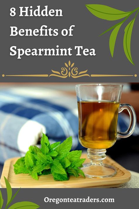 Spearmint Recipes, Benefits Of Spearmint, Spearmint Tea Benefits, Medicinal Herbs Remedies, Growing Tea, Spearmint Tea, Natural Pain Relievers, Medicinal Tea, Tea Benefits