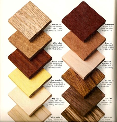 Wood Types & Samples for Client Reference Wood Furniture Colors, Outdoor Wood Projects, Type Of Wood, Coastal Dining, Painting Wood Furniture, Wood Building, Simple House Design, Shabby Chic Dresser, Wood Sample