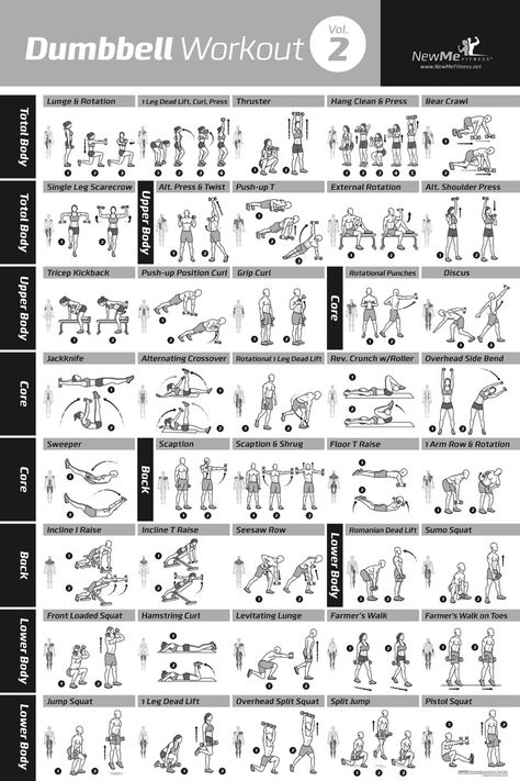 NewMe Fitness Premieres Dumbbell Workout Exercise Poster Volume 2 | PRUnderground Dumbbell Workout Chart, Exercise Poster, Weight Lifting Routine, Gym Supplements, Workout Hiit, Card Workout, Dumbell Workout, Gym Weights, Workout Posters