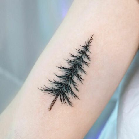 Pine Tree Tattoo Fur Tree Tattoo, Pine Tree Tattoo Women, Pine Tree Finger Tattoo, Small Christmas Tattoos, Pine Tree Tattoos For Women, Small Pine Tree Tattoo, Spruce Tree Tattoo, Small Tree Tattoo, Christmas Tree Tattoo