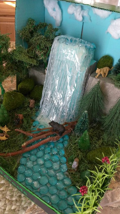 Woodland Forest Diorama, Otter Diorama, Grassland Project, Rain Forest Diorama, Ecosystems Diorama, Rainforest Diorama, Shoe Box Diorama, Beach Diorama, Habitat Diorama