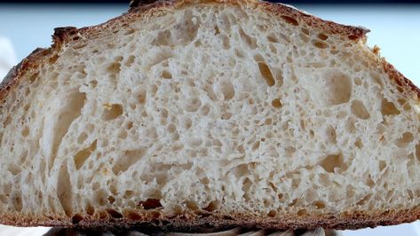 Low Carb Artisan Bread Recipes, Keto Sourdough Starter Recipe, Keto Sourdough Bread Starter, Almond Flour Sourdough Bread, Keto Sourdough Recipes, Keto Artisan Bread, Low Carb Sourdough Bread, Keto Sourdough Starter, Keto Sourdough Bread Recipe