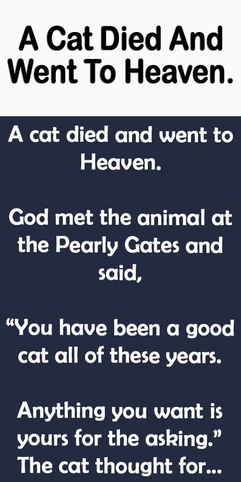 A Cat Died And Went To Heaven. – All Cats Go To Heaven, Cat Poems Funny, Cat Heaven Quotes, Funny Life Quotes Humor Hilarious Animal Pictures, Cat Sympathy Quotes, Beautiful Quilts Inspiration, Cat Died Quote, Cat Quilts Ideas, Cats In Heaven