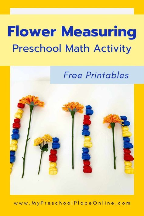 Explore math in bloom with our flower measuring activity for preschoolers! This interactive flower activity encourages hands-on learning as children measure and compare the sizes of colorful flowers. With our free flower printable, your little one can practice measuring and counting skills while enjoying the wonders of spring any time. Try this engaging preschool activity today and watch your child get excited about math! Measurement Activities Preschool, Spring Math Preschool, Flowers Preschool, Seeds Preschool, Flowers Kindergarten, Flower Activity, Flower Math, Spring Preschool Activities, Homeschooling Preschool