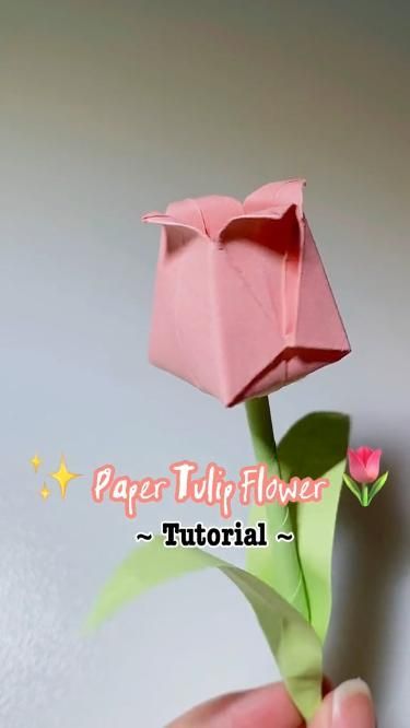 Check out this gorgeous paper tulip! Click the link in my bio for all your origami paper needs! Video credit: Lini Trinh Aktiviti Tadika, Hadiah Diy, Kad Nama, Organizator Grafic, Daisy Crochet, Tutorial Origami, Cute Origami, Folding Origami, Instruções Origami