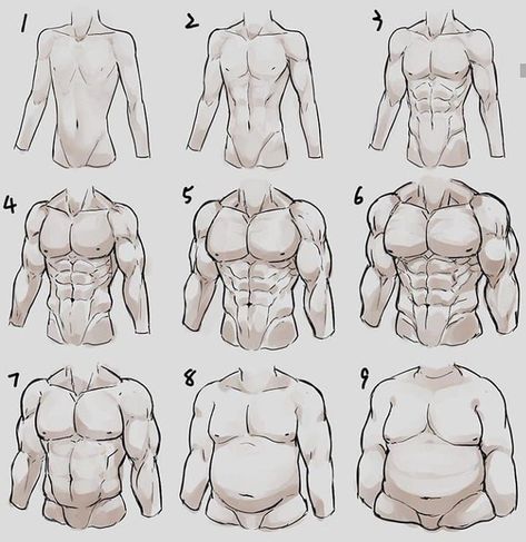 (2) Belladonna (@Bellado55039057) / Twitter Male Body Drawing, Body Type Drawing, Human Body Drawing, Personaje Fantasy, Výtvarné Reference, 그림 낙서, Human Anatomy Drawing, Human Anatomy Art, Body Reference Drawing