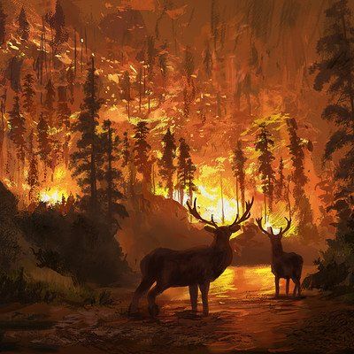 ArtStation - Stefan Koidl Wild West Character Design, Wild West Character, Forest Drawing, Fire Drawing, Character Design Challenge, Fire Painting, Wilde Westen, Fire Image, Wild Fire