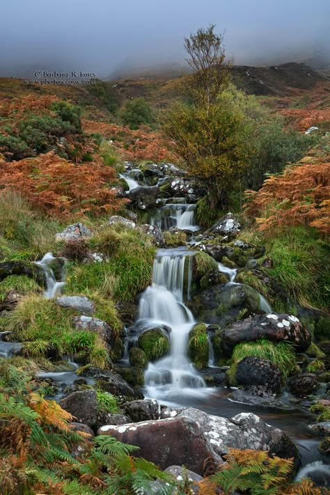 Scottish Waterfalls, Waterfalls Aesthetic, Scotland Autumn, Scotland Nature, Scotland Aesthetic, Autumn Landscapes, Enchanted Kingdom, Isle Of Mull, Scotland Landscape