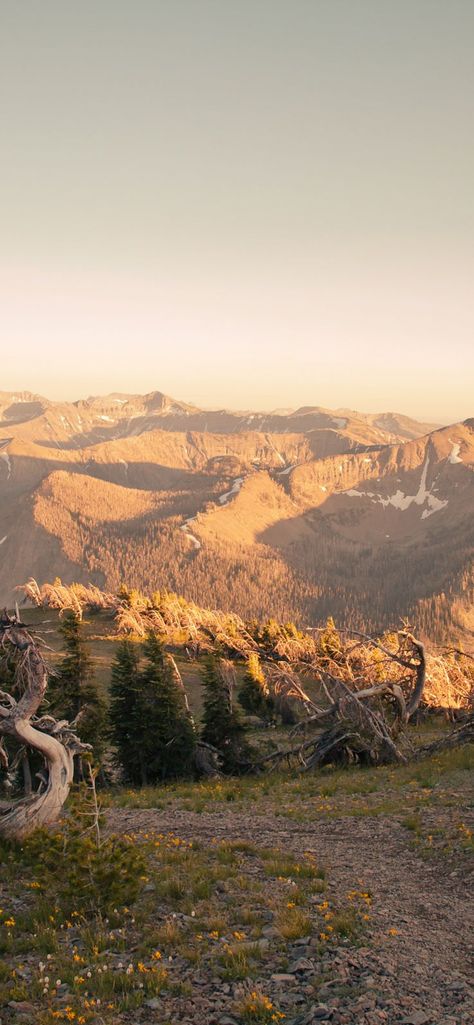 Download free HD wallpaper from above link!
#nature #yellowstonenationalparkwallpaper #yellowstonenationalparkiphonewallpaper #freewallpaperyellowstonenationalpark National Park Iphone Wallpaper, Yellowstone Wallpaper Iphone, Yellowstone Wallpaper, National Park Wallpaper, 21 Wallpaper, Park Wallpaper, Wallpaper For Iphone, Latest Wallpapers, Android Tablets