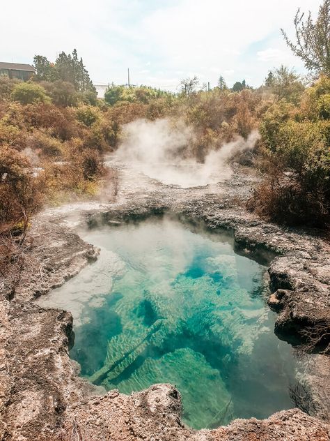 Travel itinerary for Rotorua New Zealand North Island. Discover the best photography spots as well as activities and things to do in Rotorua such as visiting the geothermal Hot Springs, geysers, mud pools, blue and green lakes and Lake Terawera or visit a Polynesian spa. Or places to visit for free such as the Redwoods or kerosene creek. Learn about the Maori culture at Whakarewarewa, taste traditional Maori food (hangi) and see the haka dance. Also included are accommodation recommendations. New Zealand Hot Springs, New Zealand Rotorua, New Zealand Travel Photography, Maori Food, New Zealand Culture, Haka Dance, New Zealand Photography, New Zealand North Island, Hiking New Zealand