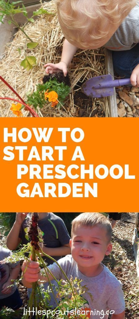 Start A Preschool, Preschool Garden, Children's Garden, Starting A Garden, School Garden, Sustainable Garden, Garden Pests, Garden Care, Summer Activities For Kids