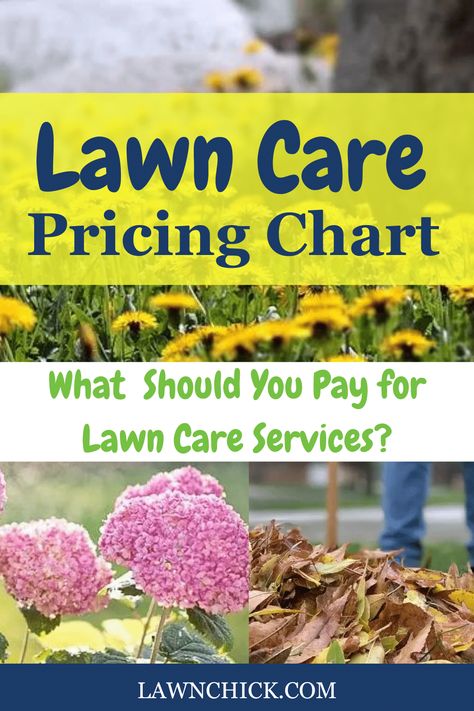 Hiring a lawn care service is a fantastic way of saving you time and energy. Plus, you'll get a beautiful lawn. But how much should you expect to pay if you get lawn care services? Find out exactly that in this helpful blog post. We've put together a handy lawn care service pricing chart, so you can see cost information at a glance. Plus, we define and describe all the individual services, so you can quickly and easily figure out which ones you want and need. Starting Lawn Care Business, Yard Cleanup, Lawn Care Business, Lawn Service, Want And Need, Garden Services, Tree Service, Soil Health, Grass Seed