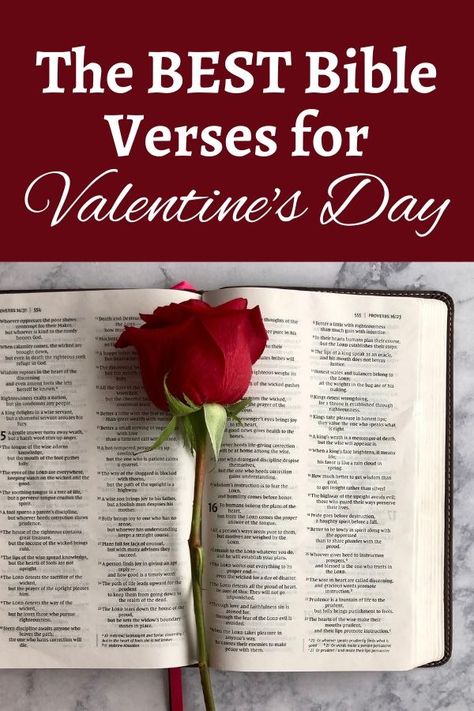 Valentine's Day is such a fun holiday. It's not only a day to celebrate a romantic relationship, but also a day to celebrate love in general. And the best place to look for examples and definitions of love is from the creator of love: God.So this Valentine's season I want to make sure I focus my family's attention on the love that is found in the Bible. That's why I put together a list of Bible verses for Valentine's Day. I hope you are able to use this list of verses as well. Bible Valentine Quotes, Biblical Valentines Day Quotes, February Bible Verses, Bible Verses For Valentines Day, Romantic Bible Verses For Him, Valentines Day Bible Verses, Love Scriptures Bible, Bible Love Verses, Love Bible Verses Scriptures